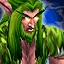 Night Elf Druid